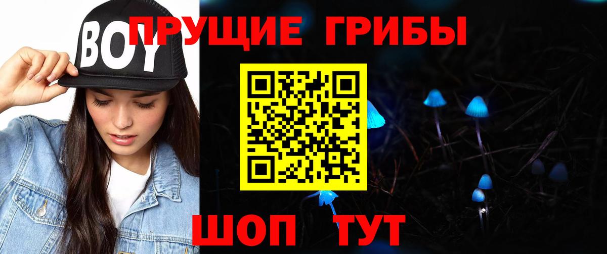 закладка  Псилоцибиновые грибы Psilocybe  Вход с VPN  Комсомольск-на-Амуре 